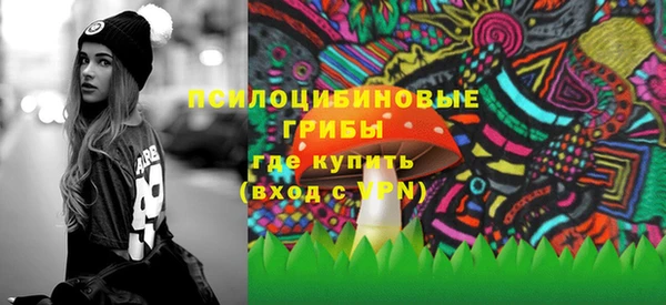 дмт Верея