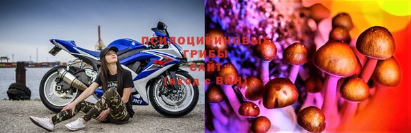 прущие крисы Бугульма